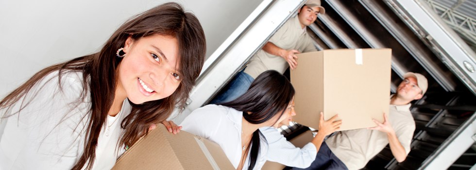 Professional Removalists East Hills